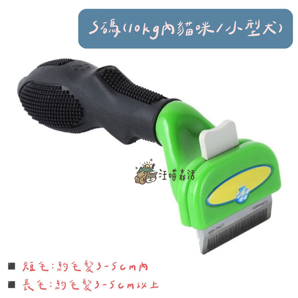 001_vivipic (5)