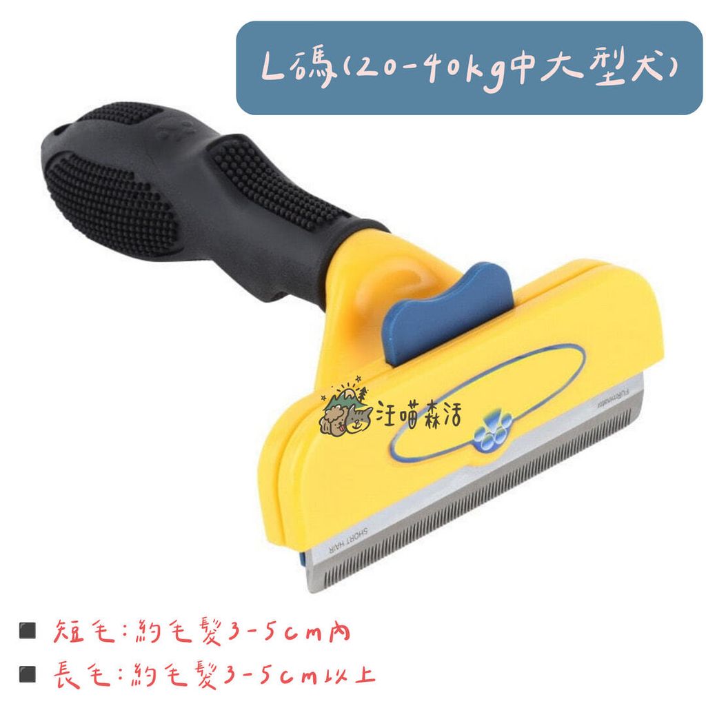 001_vivipic (7)
