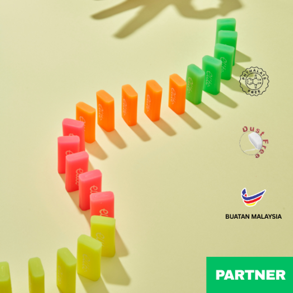 fe partner