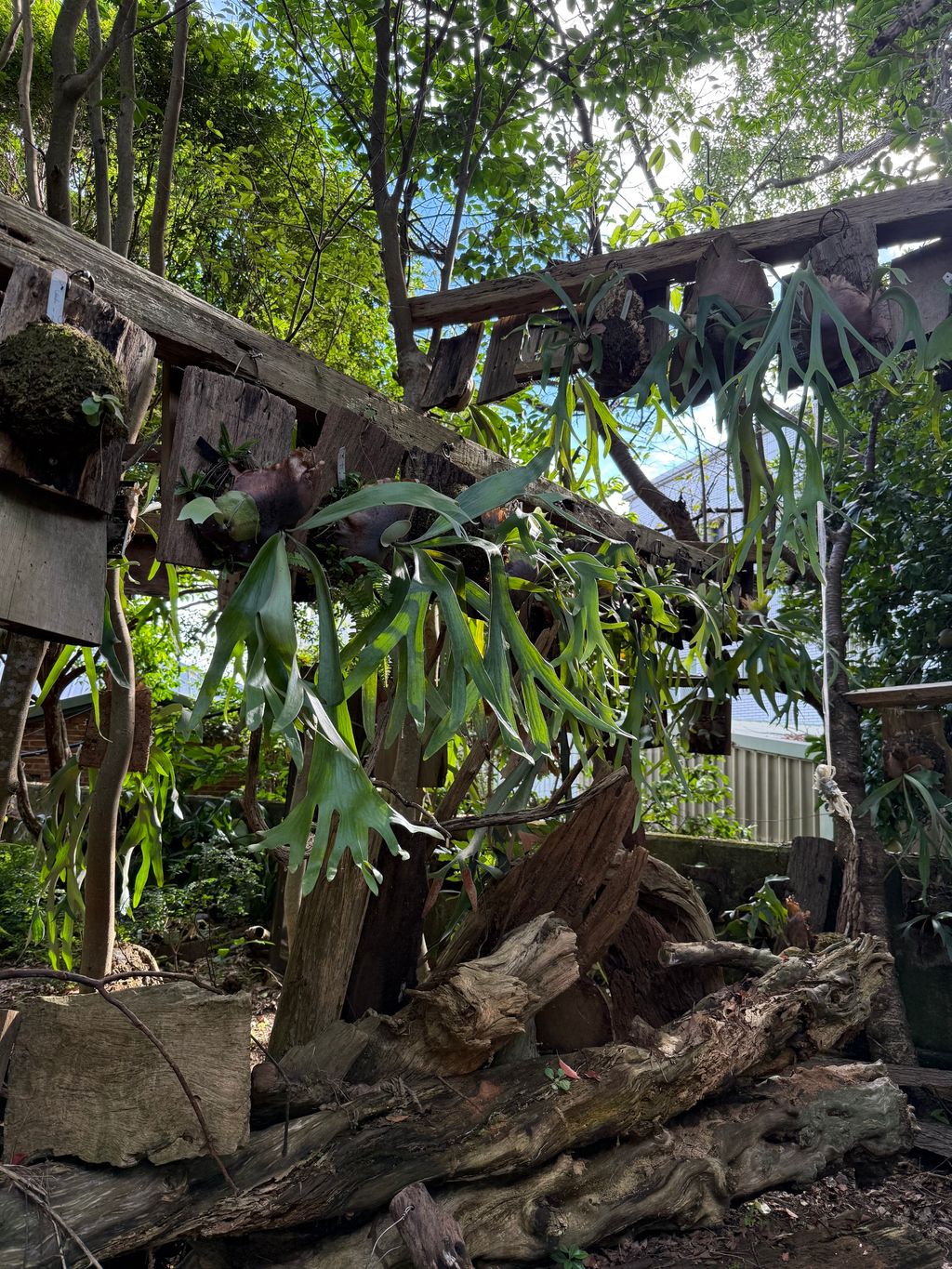image_EA0FF735-595D-4260-A2D1-BA6065355F29_1788930084