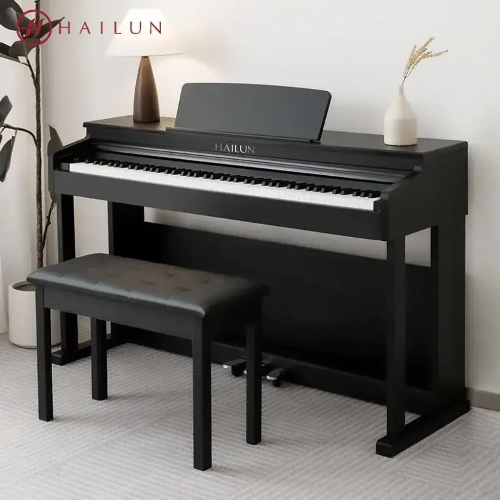 Hailun HD202-1