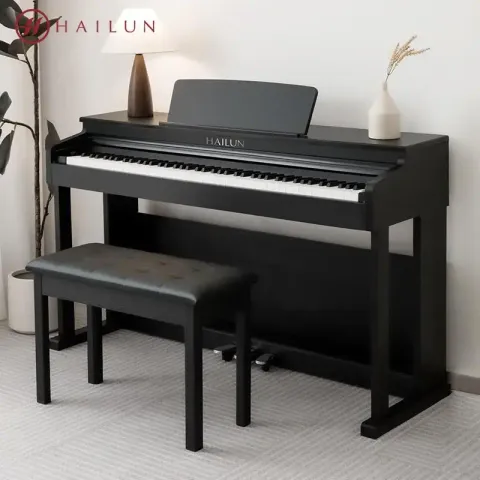 Hailun HD202-1