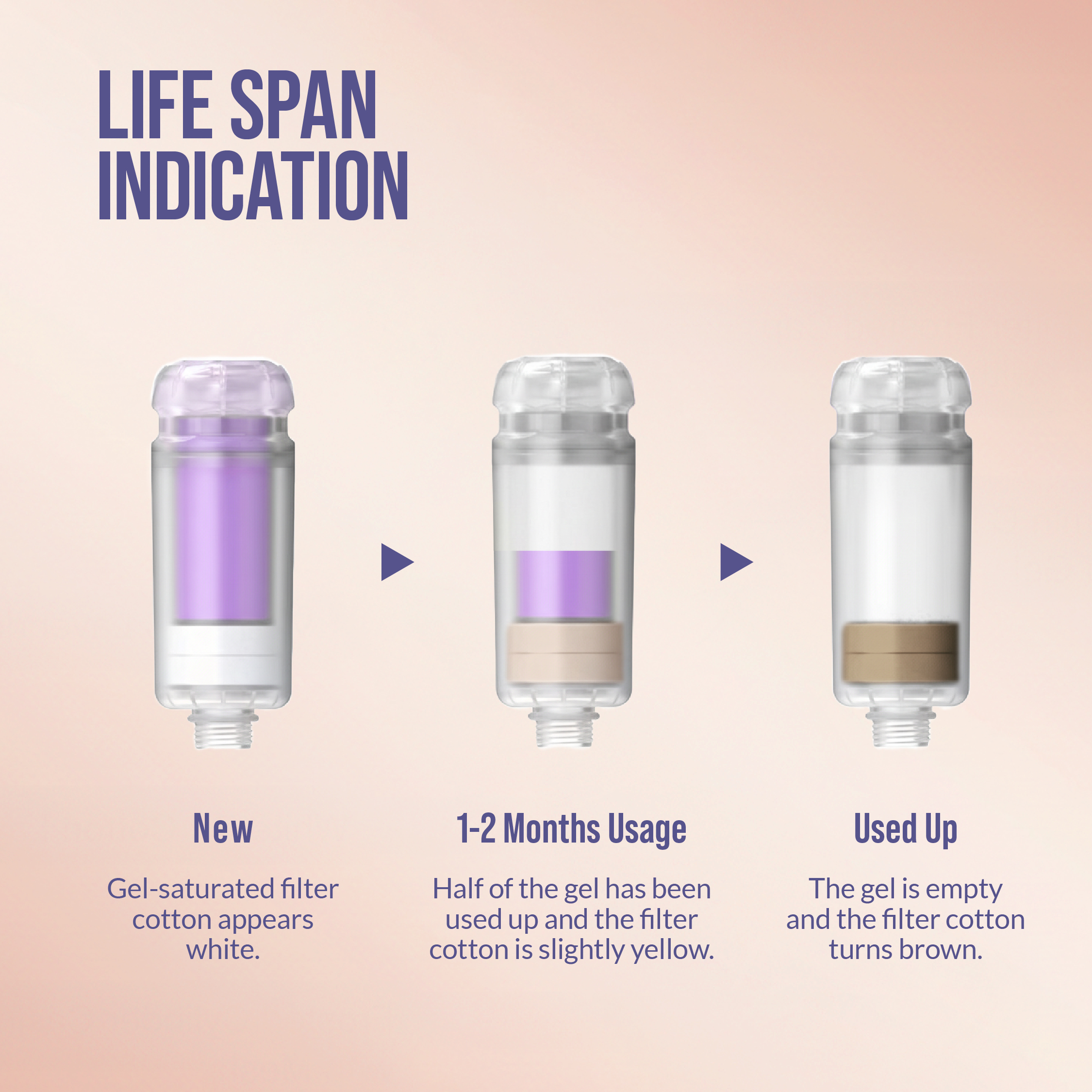 Slide_9_Life Span Indication