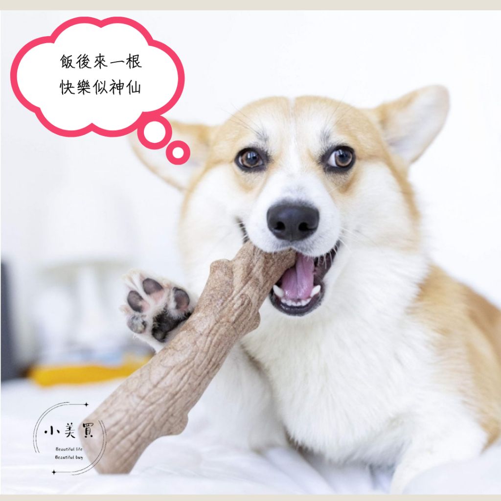 tw-11134207-7rasf-m0mo1xedlucn6d
