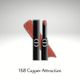 168 Copper Attractio