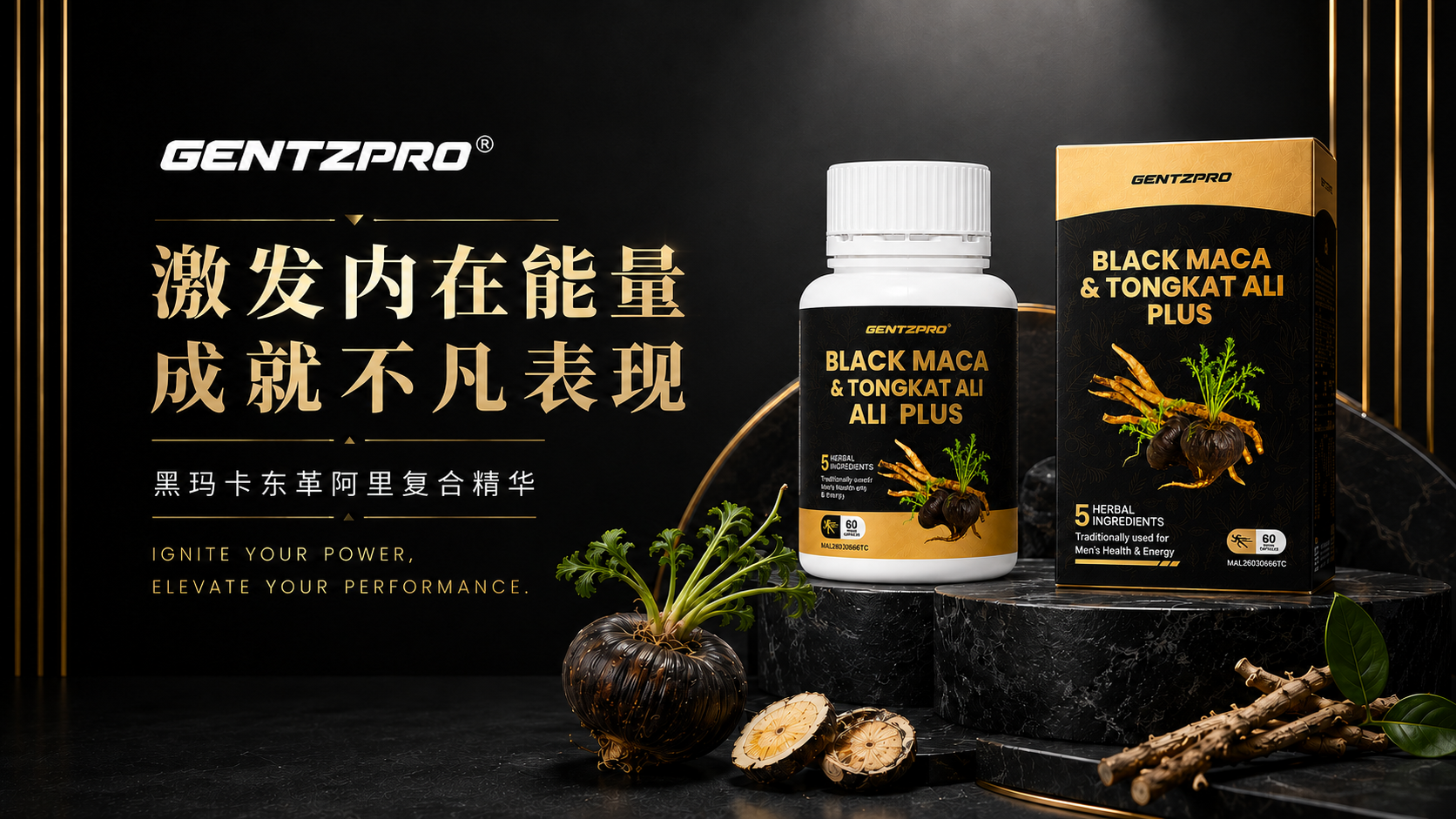  | GentzPro