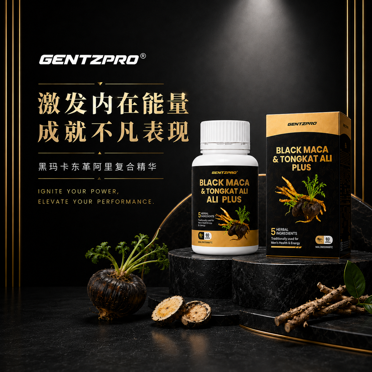  | GentzPro