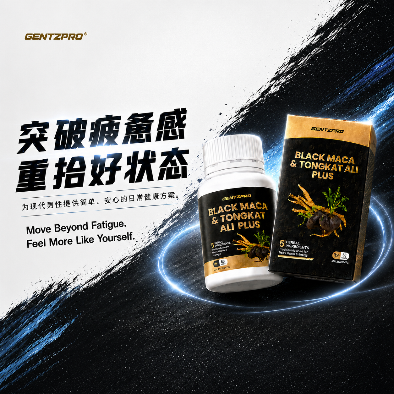  | GentzPro