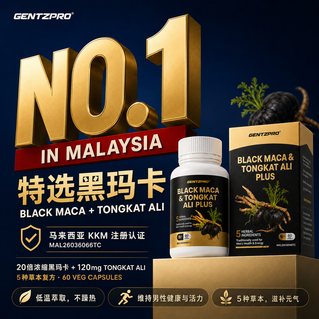 gentzpro-black-maca-no1-malaysia-web-v2