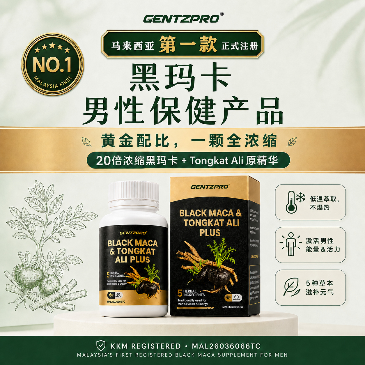 gentzpro-black-maca-no1-malaysia-registered-web-v2