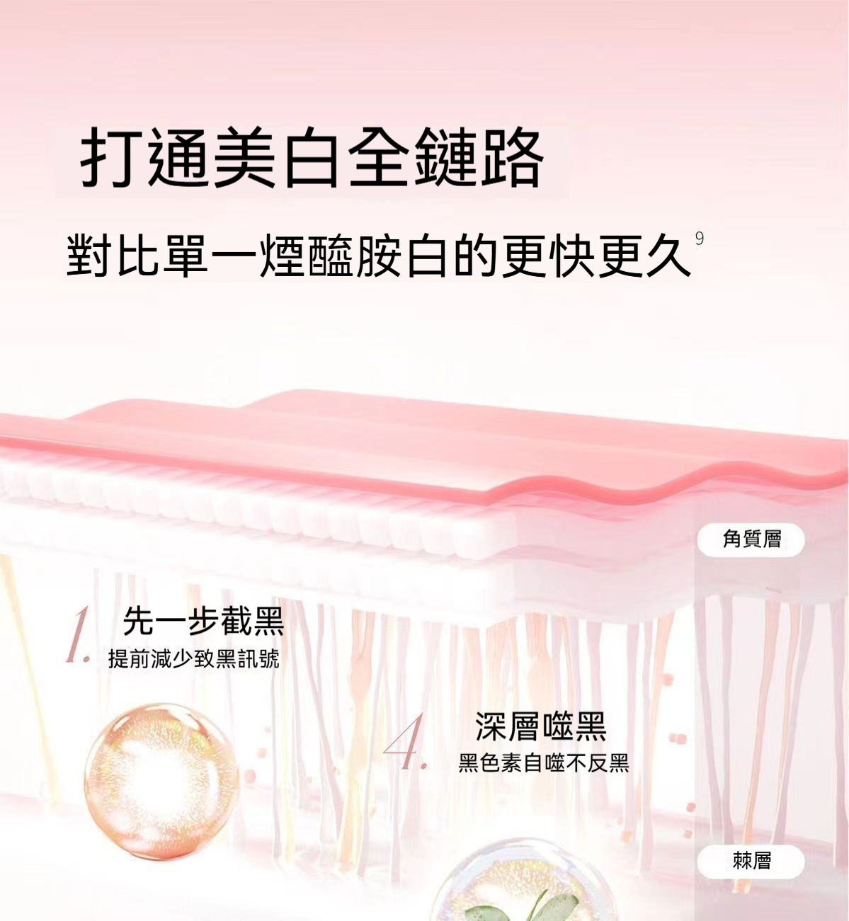 详情图6