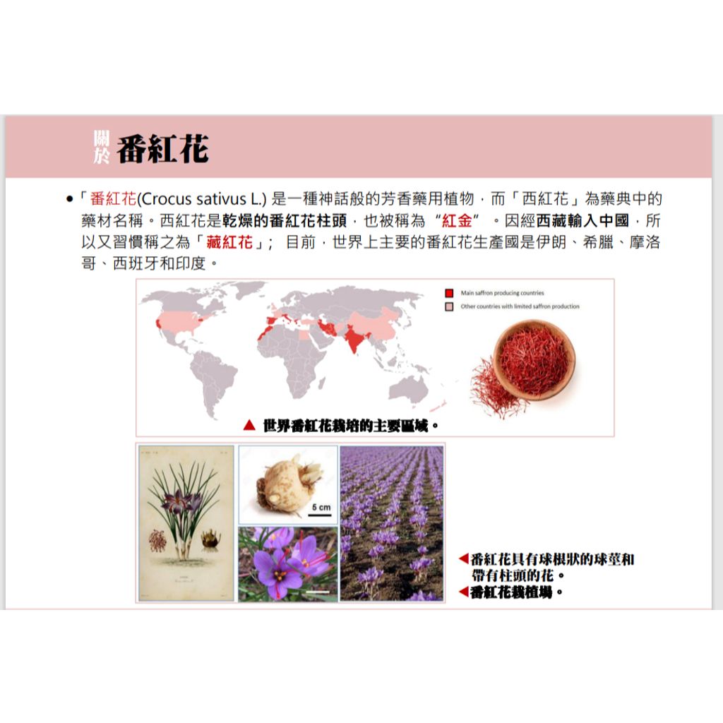 tw-11134207-7r98v-lwienjjucoq8b3