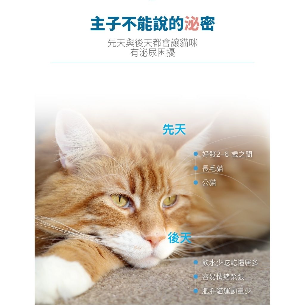 tw-11134207-7rasd-m66afe3yjthdc7
