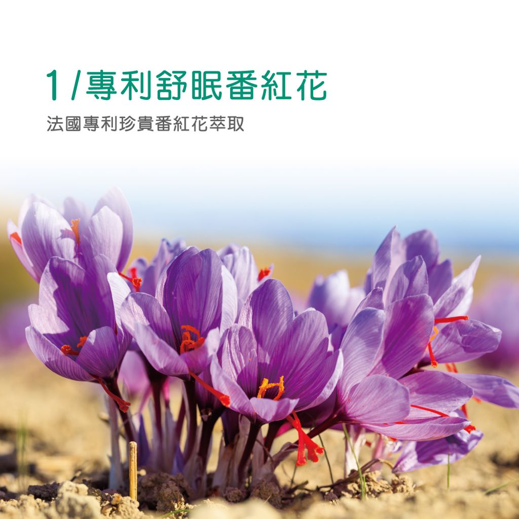 tw-11134207-7r98z-lnpbwm5huivx07