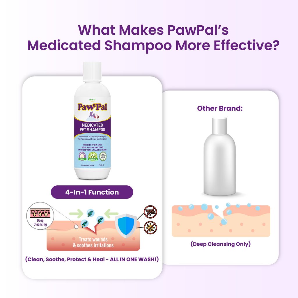 Medicated Pet Shampoo-21