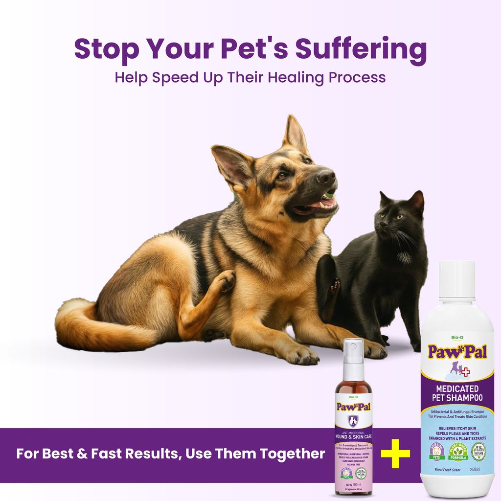 Medicated Pet Shampoo-23