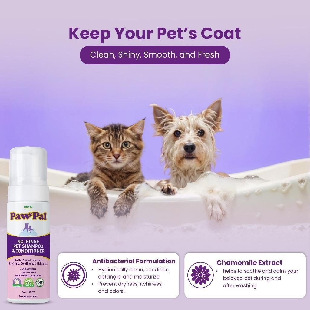 c89ba723e8004503b9a94dc0771ef69c~tplv-o3syd03w52-origin-jpeg