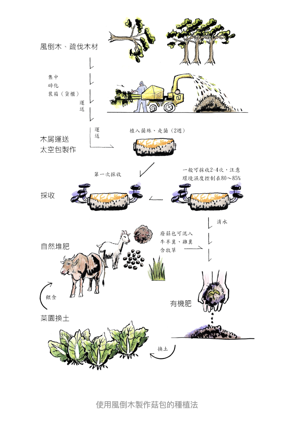 截圖 2026-07-16 下午2.39.07