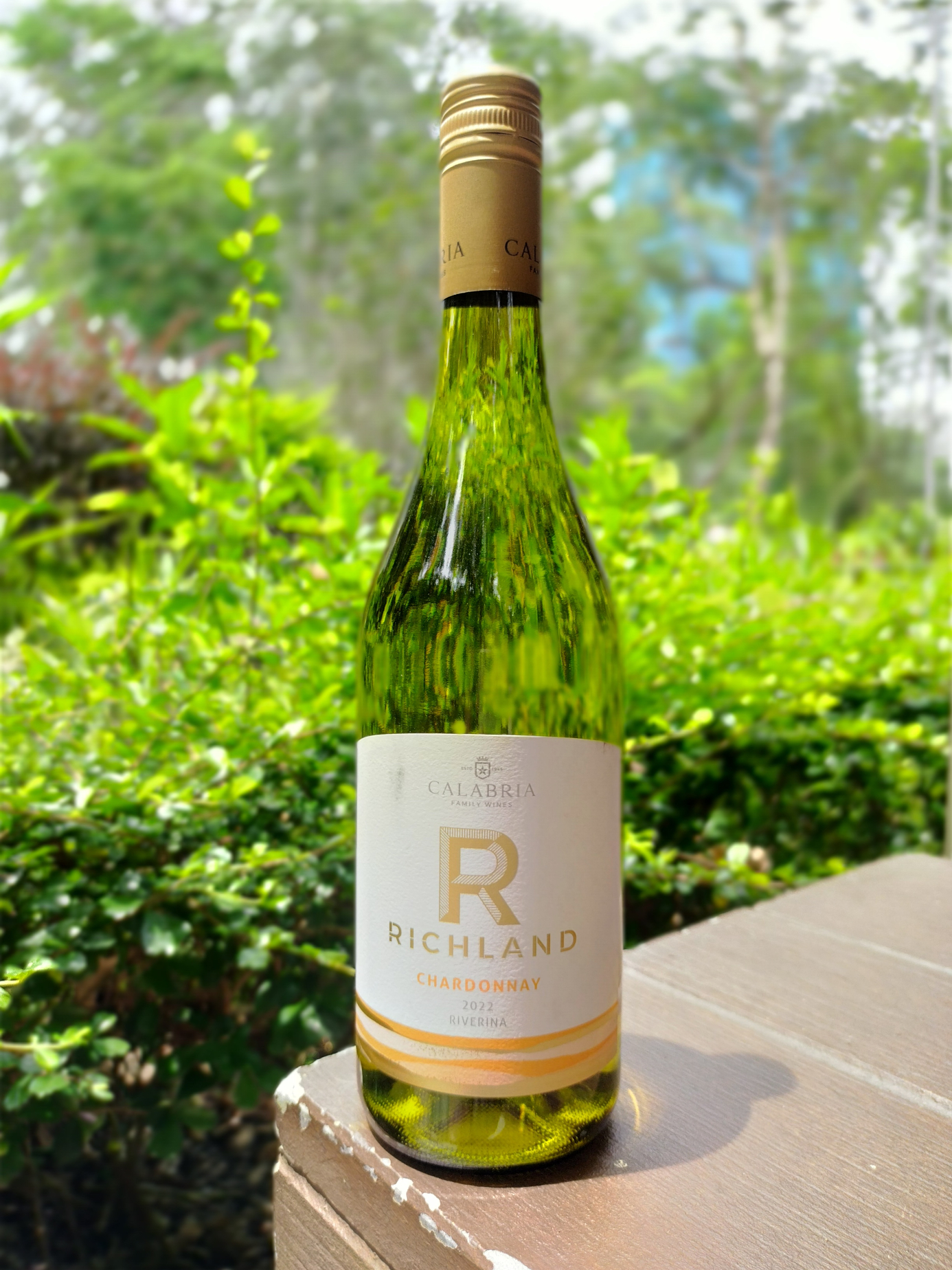 Richland-Chardonnay-IMG_20240518_132958_HDR