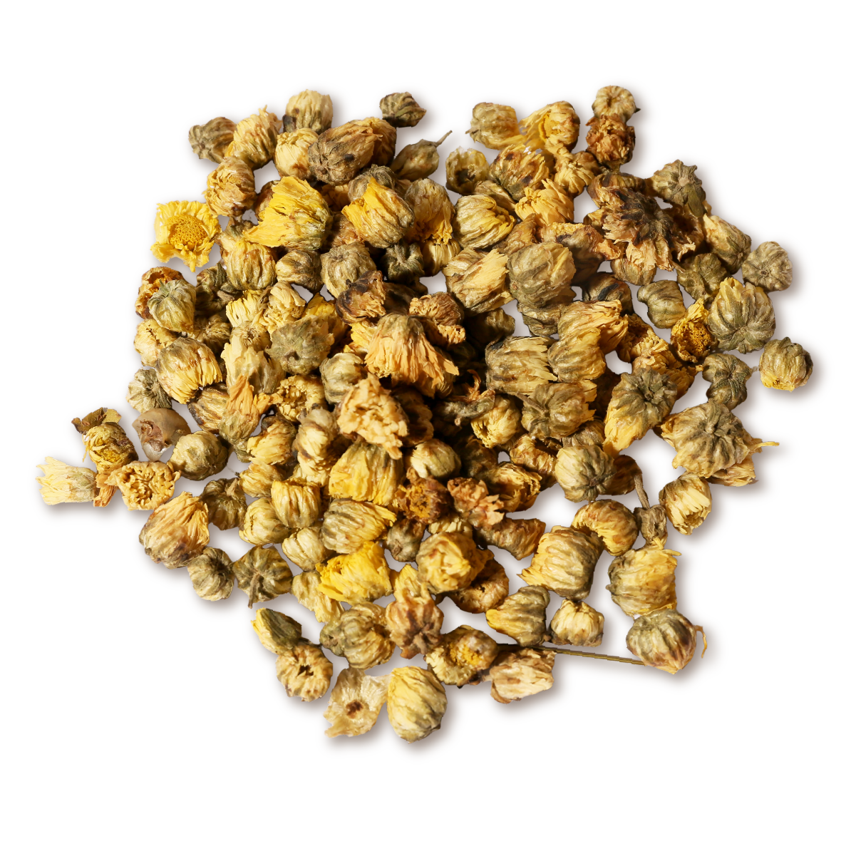 2. 桐乡胎菊 (50g) - XYS-ALC-002-02