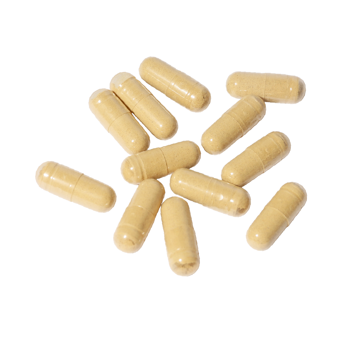 5. 清热凉茶丸 - XYS-THW-005-02