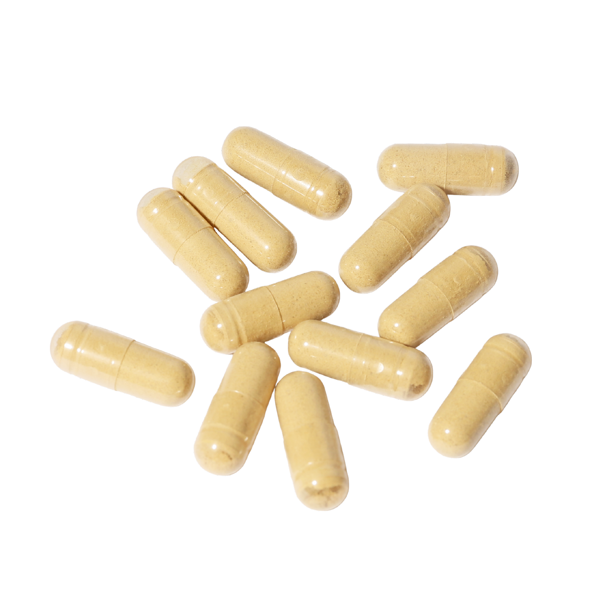 14. 降糖调理丸 - XYS-THW-014-02