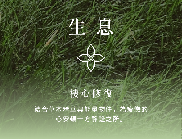 鑒理・天書開盤