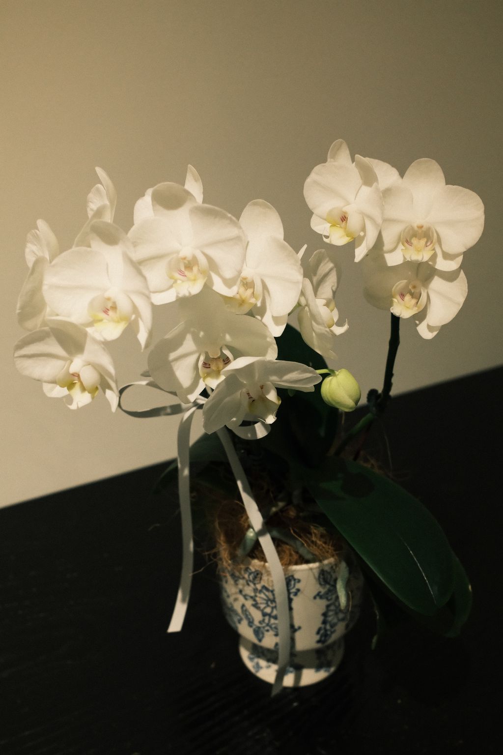 DSCF1491