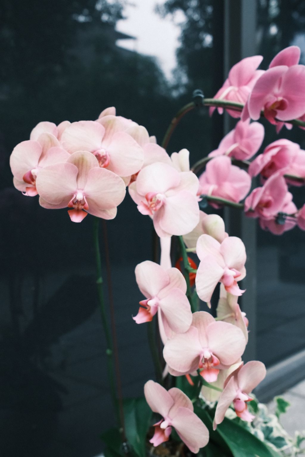DSCF1404