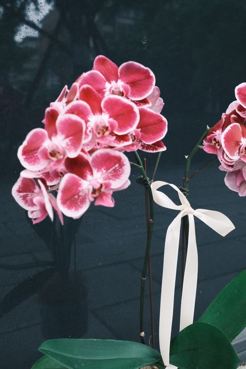 DSCF1420