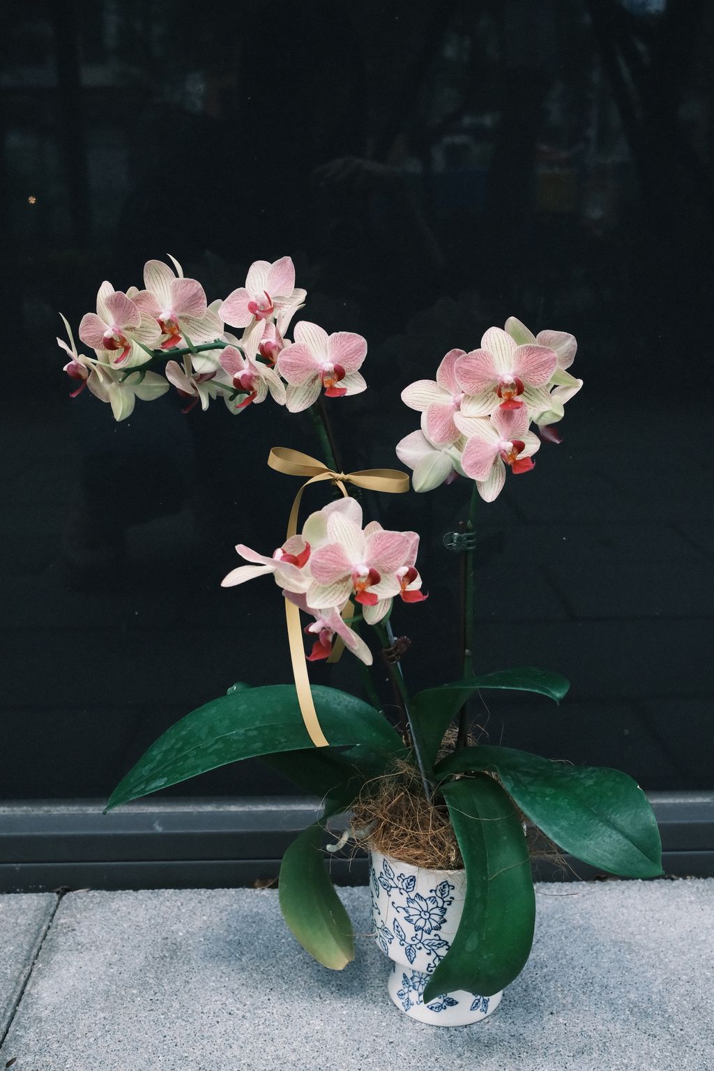 DSCF1503