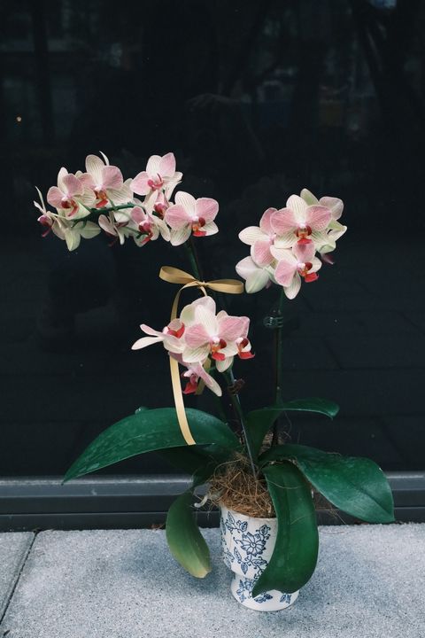 DSCF1503