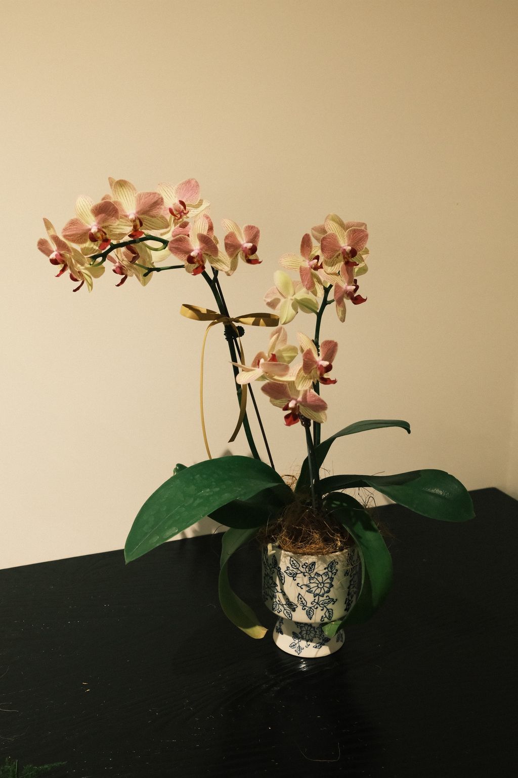 DSCF1515