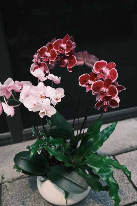 DSCF1548