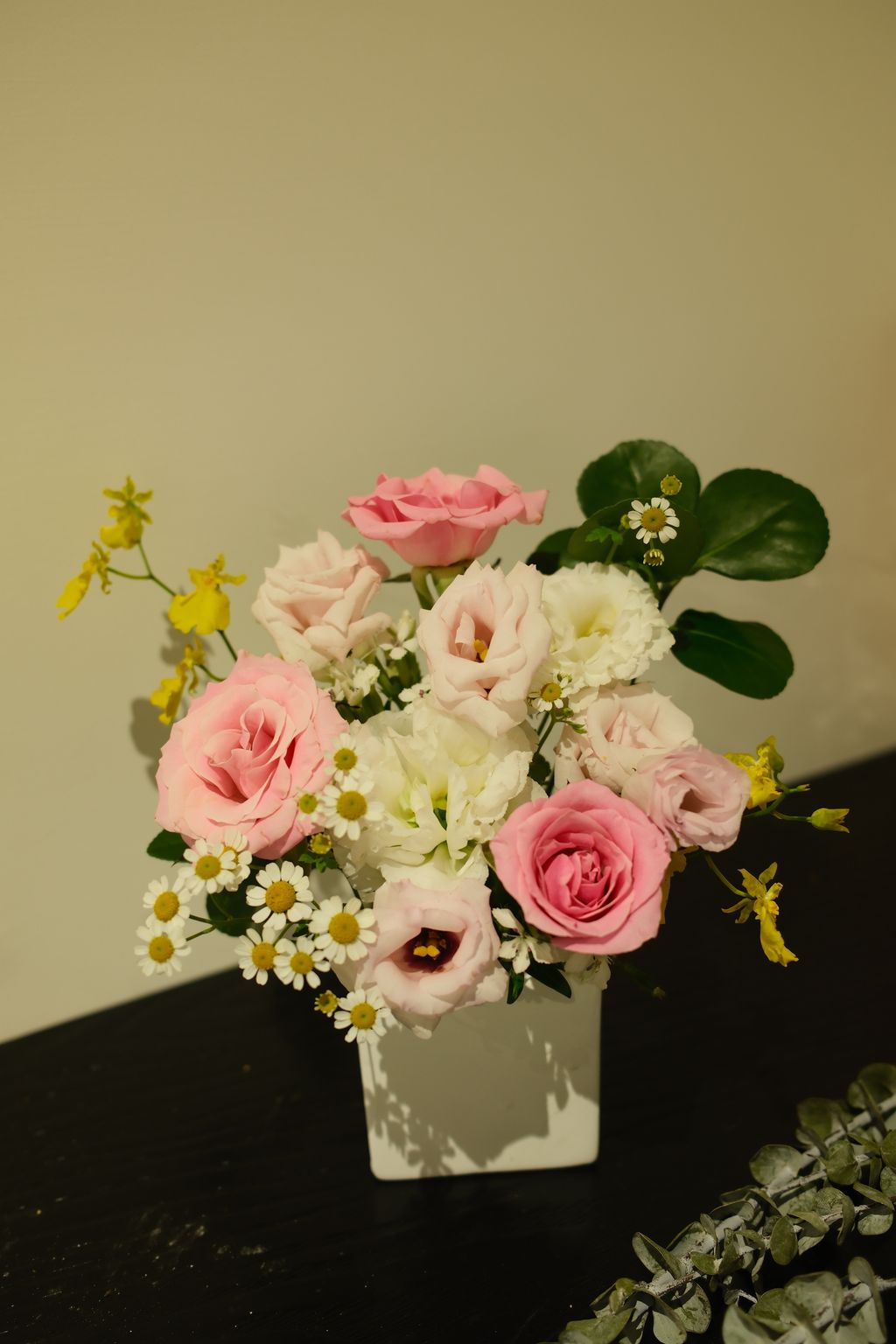 DSCF2740