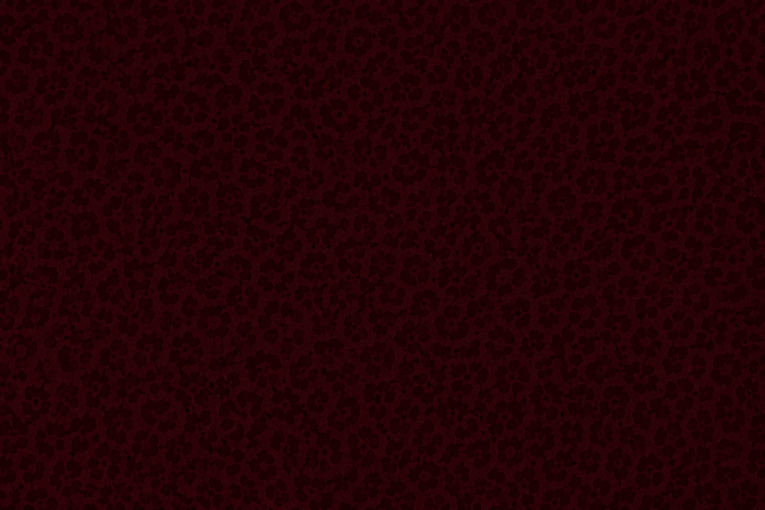 https://cdn.store-assets.com/s/1441771/f/17438060.png