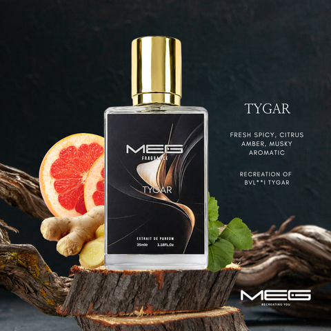 TYGAR TT 1