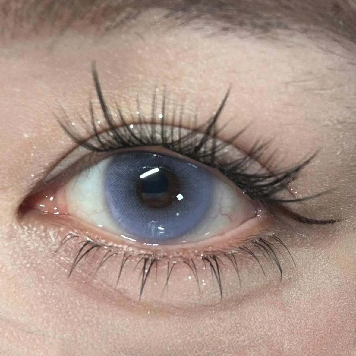 kazzue-color-contact-lens-Jellybean-Plum-2