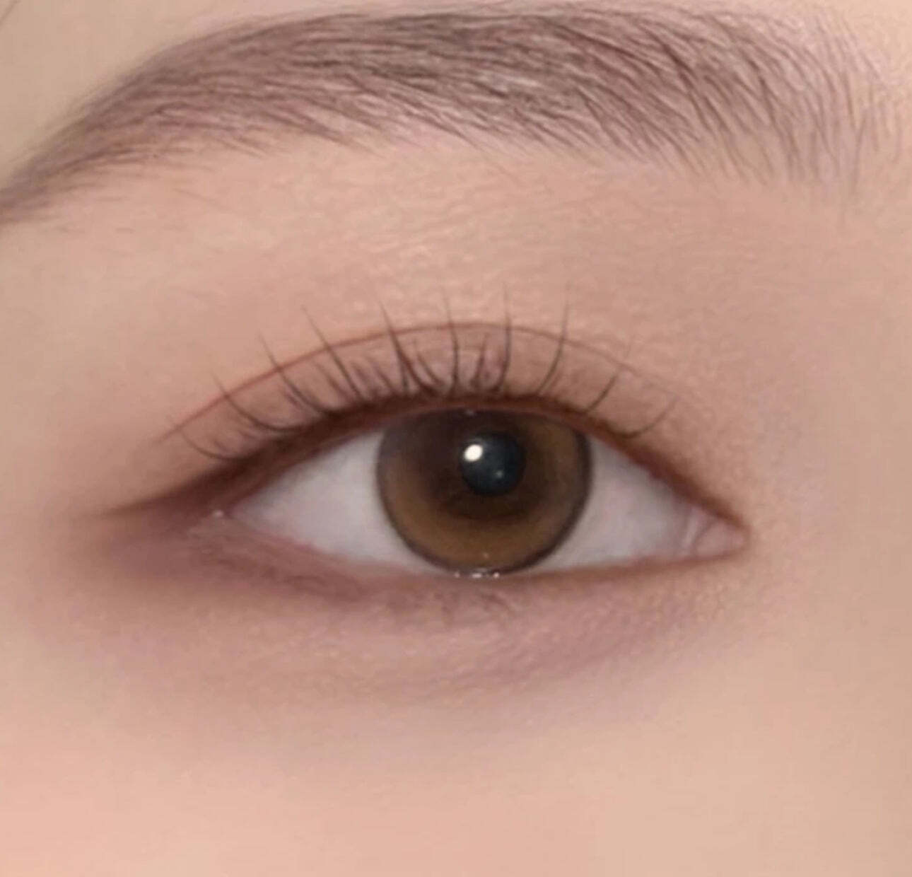 kazzue-color-contacts-toric-inspire-brown-3