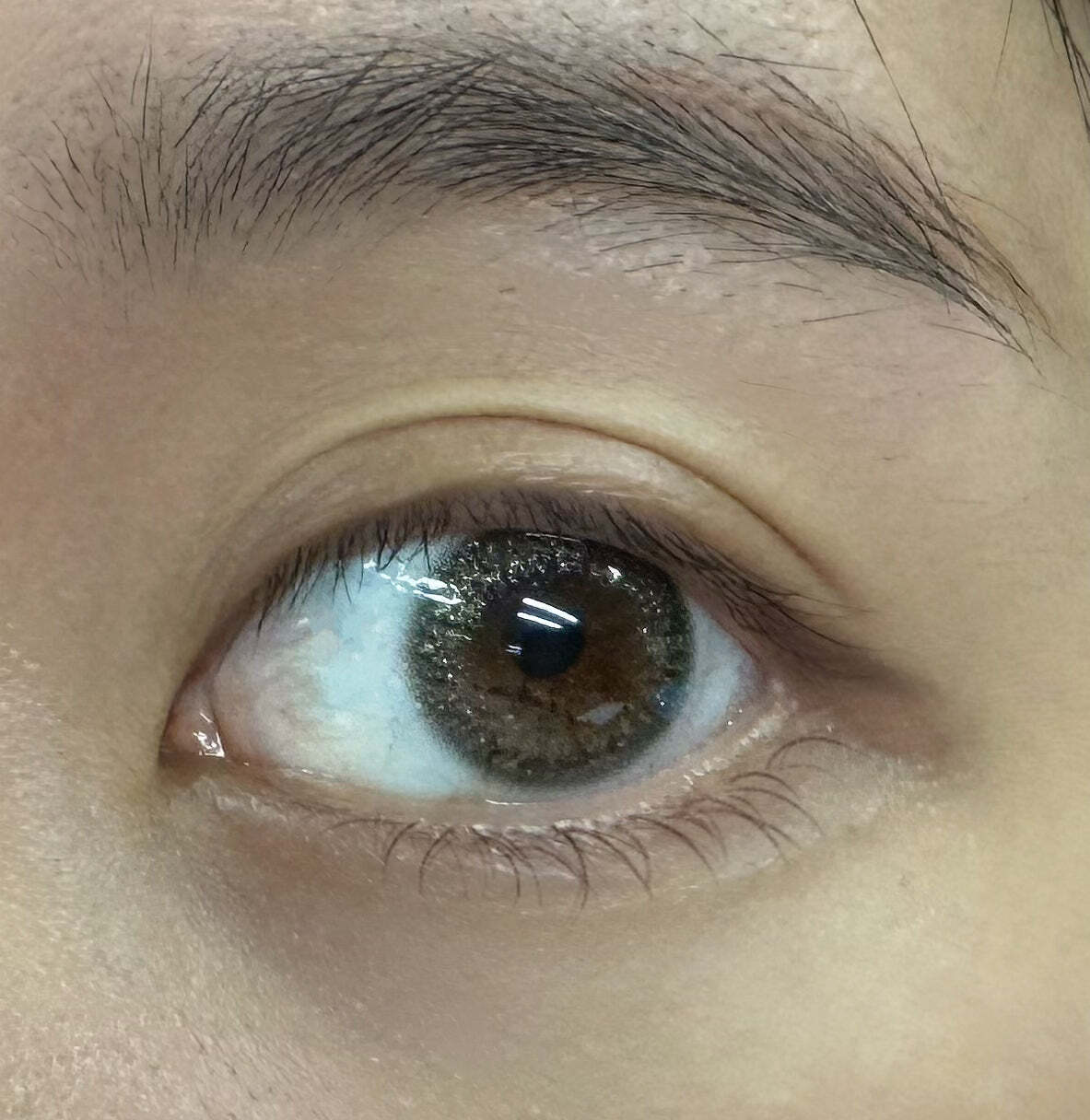 kazzue-color-contacts-toric-glitter-wish-3