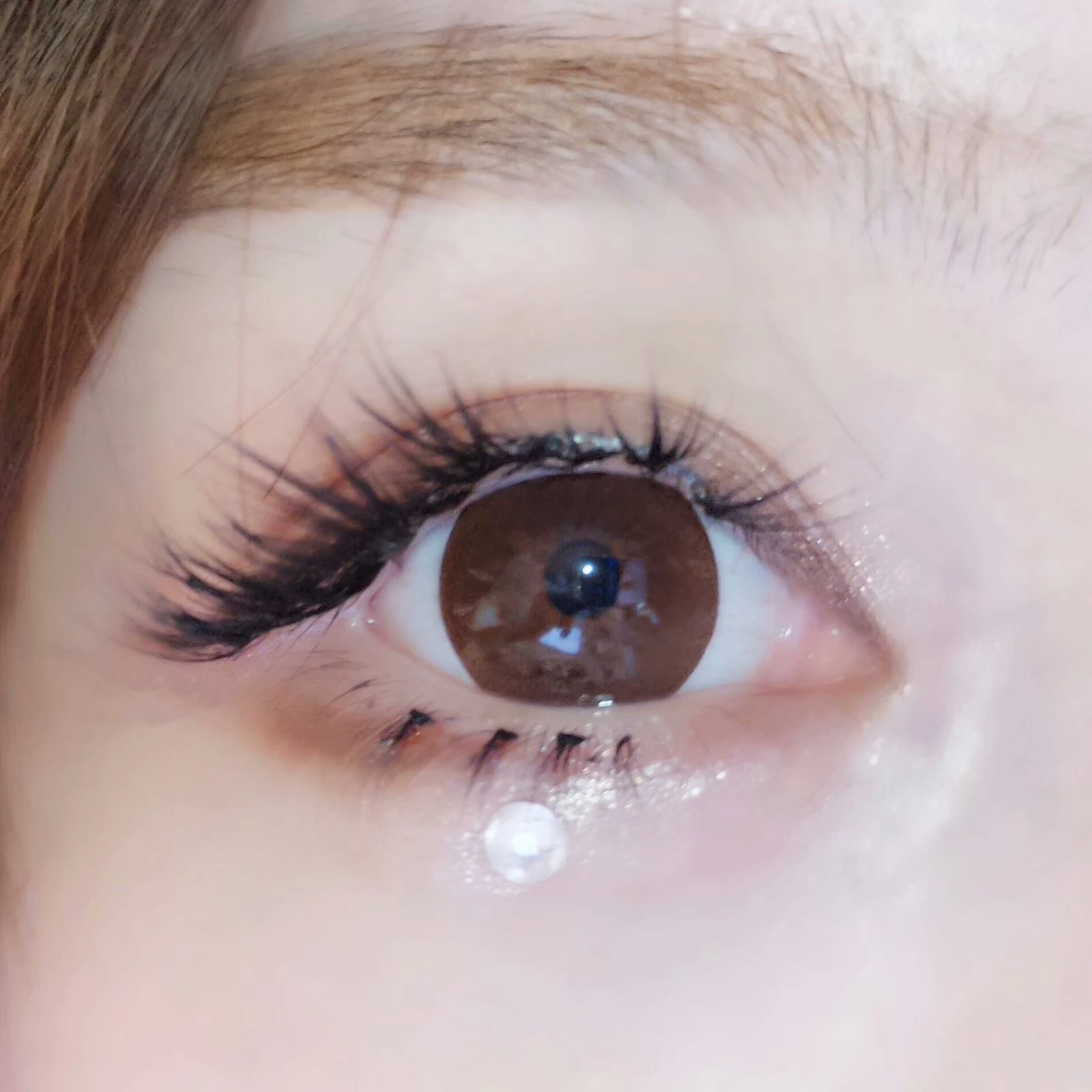 kazzue-color-contacts-essential-choco-2