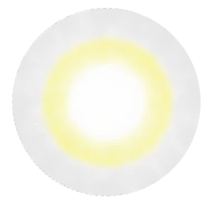 kazzue-color-contacts-angel-gray