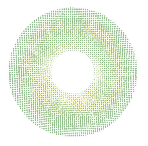 kazzue-color-contacts-basic-pure-green