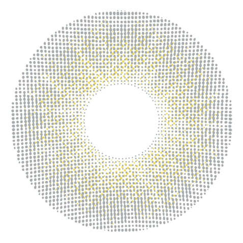kazzue-color-contacts-basic-pure-gray