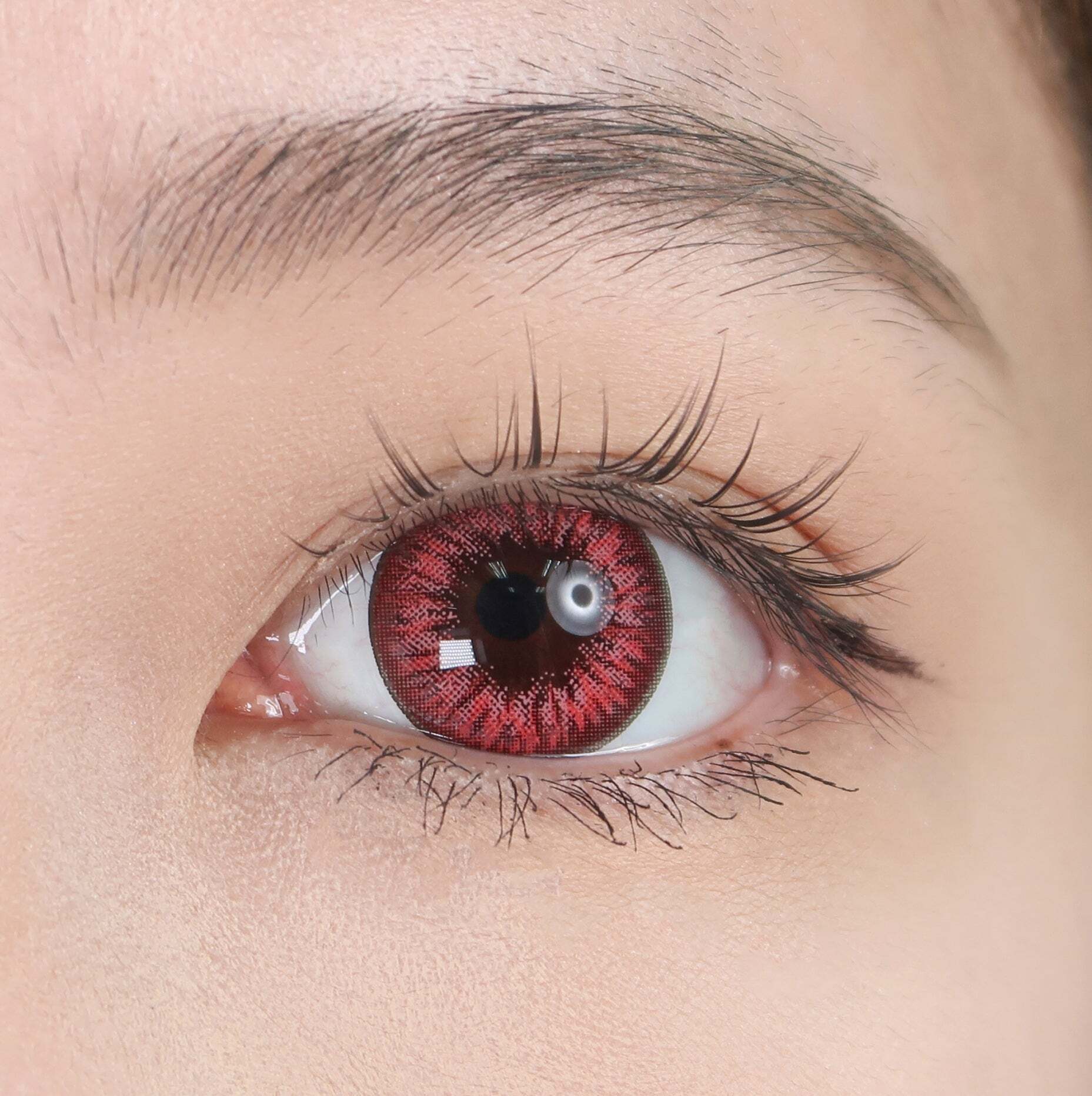 close_up_premier_pinkish_red