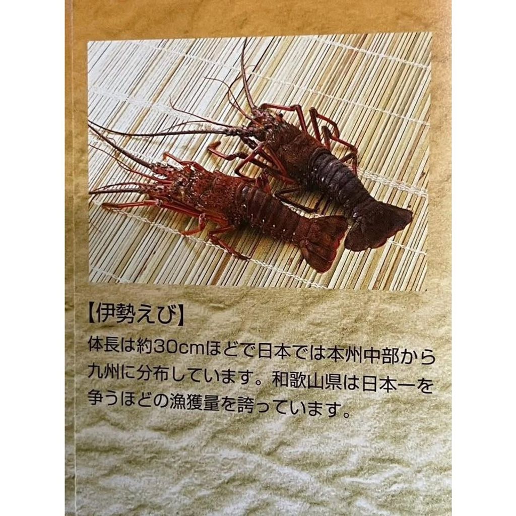 tw-11134275-820l9-mkfk1ledbnczc0