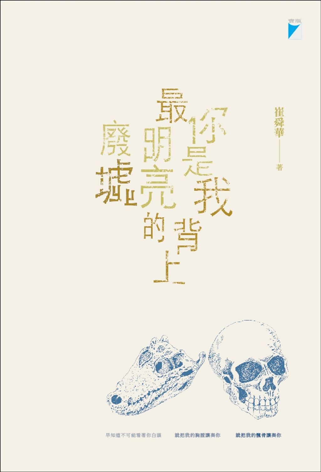 你是我背上最明亮的廢墟