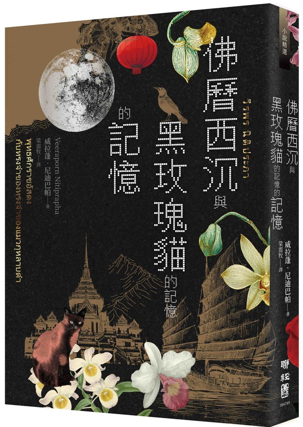 佛曆西沉與黑玫瑰貓的記憶的記憶