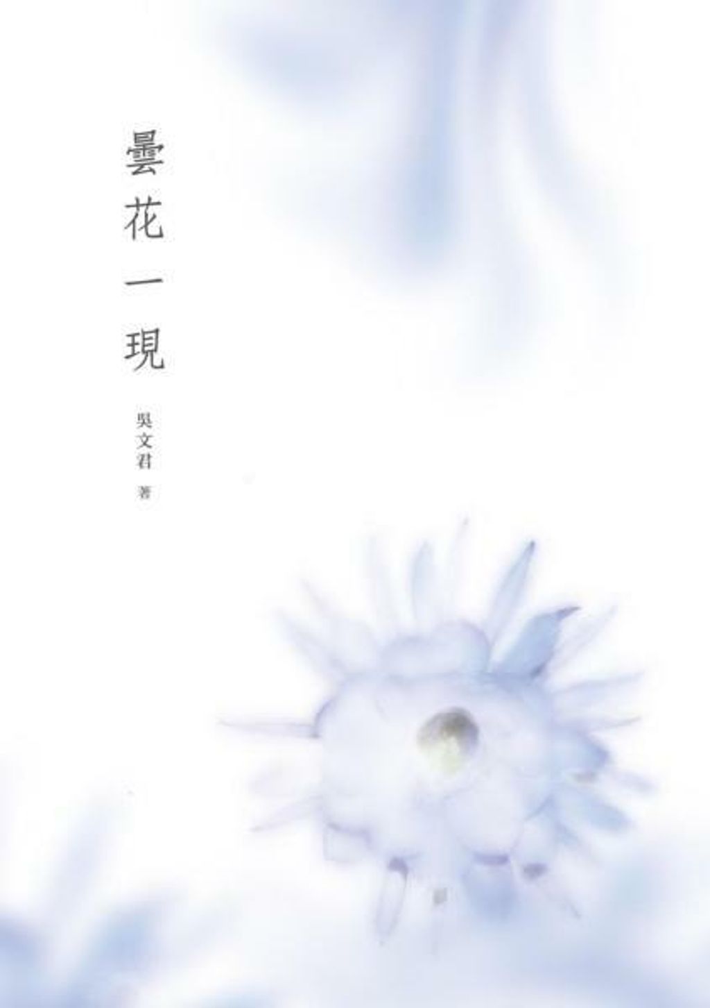 曇花一現.jpg