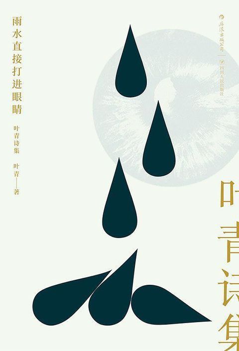 雨水直接打进眼睛：叶青诗集2